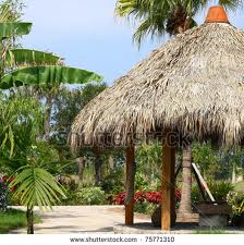 custom pools and spas by greencare.net